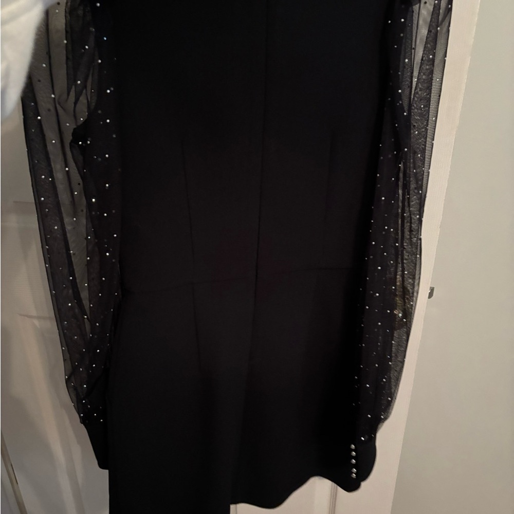 Elegant Black Dress with Sheer Sleeves - Picture 11 of 11